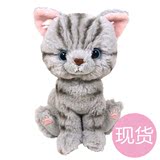 【现货】日本正品kitten小猫毛绒玩具娃娃公仔灰色条纹猫咪