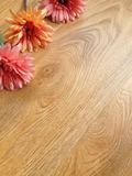 欧米加地板强化复合实木地板12MM环保进口厂家直销特价