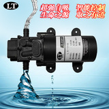 洗车水泵 抽水泵小型水泵 隔膜泵12v 电动喷雾泵自吸泵直流泵包邮