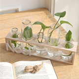 创意木底座仿真花假花摆件 水培绿萝桌面摆台透明玻璃小花瓶 包邮
