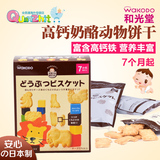 满6包邮日本进口和光堂 高钙奶酪动物饼干 宝宝磨牙棒T14