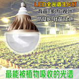 植物补光灯LED全光谱生长灯育苗大棚蔬菜花卉兰花多肉植物植物灯