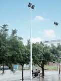 定做 6米 双头400W户外防水广场灯 公园灯 小区灯 路灯 高中杆灯