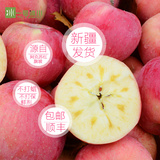 【一号冰川】特级新疆阿克苏冰糖心苹果水果 顺丰包邮晚熟红富士