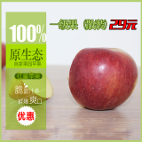 红星/富士苹果 新鲜苹果 水果 散装/精装礼盒 红苹果 5斤装包邮