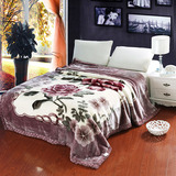 拉舍尔毛毯加厚双人毯冬季珊瑚绒毯双层盖毯保暖毯子床单10斤5斤