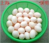 上海崇明鸽子蛋新鲜鸽子蛋 30只包邮损坏包赔 农家玉米喂养土鸽蛋
