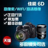 Canon/佳能 EOS 6D 单反数码相机 24-105mm  24-70 IS 多镜头可选