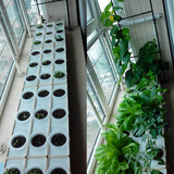 阳台种菜水培设备长方形种菜盆 家庭菜园无土栽培种植箱 组合花盆