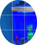 欧式半圆玻璃鱼缸水族箱吧台靠墙玄关生态缸大中型落地款