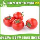 西红柿  成都同城 新鲜蔬菜 净菜 配送 新鲜西红柿 1斤2-3个