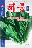 海风芥菜种子韩国原装进口特菜种子绿色蔬菜种子7克装泡菜专用