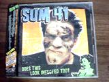 Sum 41 Does This Look Infected Too 日版拆封 CD+DVD