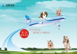 深圳东莞惠州宠物飞全国航空托运 狗猫活体空运 上门服务可寄养