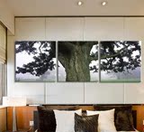 大树现代客厅装饰无框壁画三联简约挂画可定制冰晶玻璃背景墙拼画