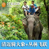 清迈一日游 丛林飞跃 骑大象 中文导游 泰国清迈一日旅游自由行
