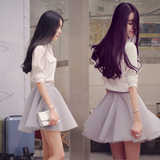 2016韩国秋冬学院小清新连衣裙两件套 学院风衬衣纱网套装