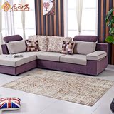 正品优质土耳其进口地毯 卧室地毯客厅 茶几地毯 超薄沙发茶几垫
