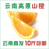 云南农家原生态褚橙储冰糖橙子新鲜水果脐橙子励志橙现摘10斤包邮