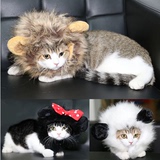猫咪假发 猫头饰宠物头套狮子头套猫帽子小狗泰迪搞笑变身装饰品