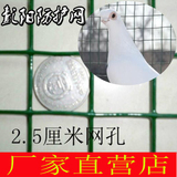 3厘米孔荷兰网钢丝网铁丝网围栏护栏网养殖网养鸡网防护网包邮