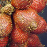 泰国水果 蛇皮果 新鲜进口水果  1斤装 坏果包赔 中通空运包邮