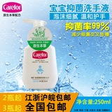 Carefor/爱护宝宝抑菌洗手液（柔泡型）250ML 宝宝植物精华洗手液