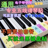 送黑键贴88-61-54 彩色五线谱简谱键位贴 电子琴琴贴钢琴键盘贴纸