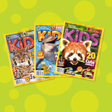 英文原版儿童杂志 NG Kids 美国国家地理儿童版全年订阅 包快递