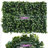 仿真桃花草坪黄豆白梅花豆塑料草皮假叶尤加利幼儿园阳台装饰植物