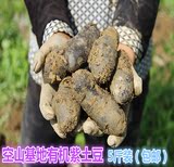 养生堂推荐 四川空山十月新挖 紫土豆 黑土豆 有机蔬菜 2500包邮