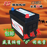骆驼汽车电瓶12V6-QW-45AH尼桑骐达颐达威驰威志千里马瑞纳蓄电池