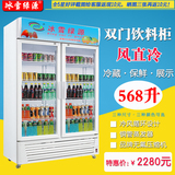 冰雪两门商用冰柜展示柜啤酒冷藏柜双门饮料柜保鲜柜冰箱超市冷柜