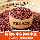 农家自产红小豆 赤小豆 红豆新货 五谷杂粮 纯天然 特价批发 250g