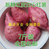 7斤装新鲜高山红皮白心红薯 农家自种糯番薯地瓜香甜山芋宝宝辅食