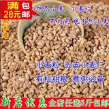 农家粗粮营养健康新小麦米小麦仁脱皮小麦粒河南特产非转基因250g