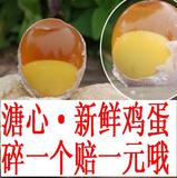 农家变蛋【33枚包邮】河南土特产鸡蛋自制 溏心无铅变蛋松花蛋