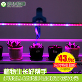 12VLED植物生长灯带多肉补光 温室培育灯室内蔬菜育苗LED防水灯条