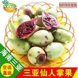 【空运】一椰海南三亚特产 新鲜水果野生 青皮/绿皮仙人掌果 5斤