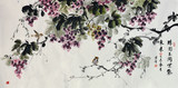 名家紫丰国画 客厅书画字画 花鸟画葡萄 四尺横幅手绘真迹