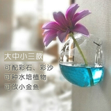 mxmade悬挂式墙壁壁挂花瓶透明玻璃水培装饰器皿创意居家装饰品