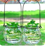 加厚彩色南瓜玻璃吊瓶水培植物瓶花瓶悬挂水培容器插花瓶水仙花盆