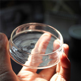 zakka创意水杯盖 通用马克杯 陶瓷杯 玻璃杯盖子 家居透明防尘盖