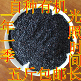 黑米五斤包邮 黑大米农家自产黑龙江五常稻花香五谷杂粮杜绝染色
