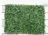 背景植物墙仿真草坪加密批发包邮花人造草皮塑料假草坪装饰米兰草