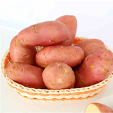 【需时达】新鲜蔬菜 红皮黄心土豆1斤价 郑州同城批发配送