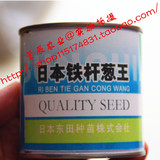 日本铁杆葱王种子 大葱种子 加工出口首选 耐寒高产 100g/桶