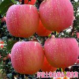 烟台苹果 红富士水晶富士 山东特产85级新鲜大果 10斤装 66元包邮