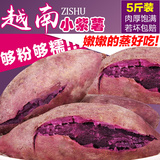 越南高山新鲜紫薯5斤农家自种紫薯坏果包赔又粉又糯老人小孩常备