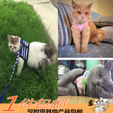 包邮宠物猫绳 保护型胸背带猫咪牵引绳 背心式拴猫绳溜猫绳子猫绳